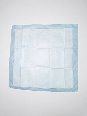 Potty pee pads - Amazon Basic 50 count box